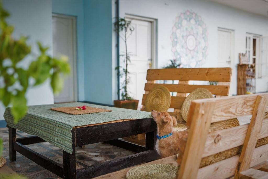 Ananda Tree House Eco Homestay Kathmandu Exterior foto